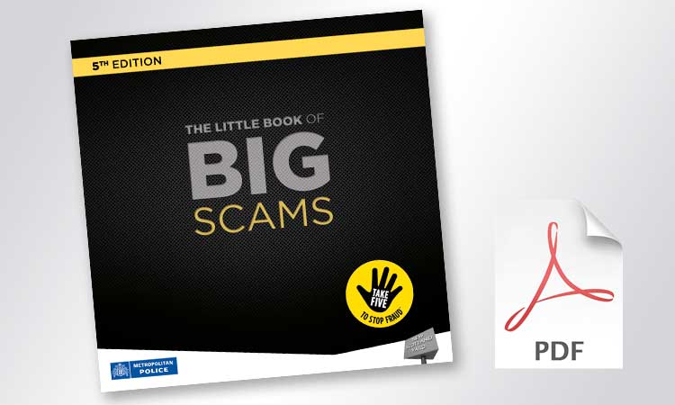 Little Book of Big Scams