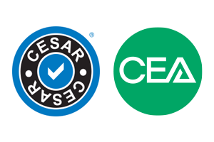 CEA CESAR Scheme