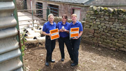 Cumbria Police Launch Traceable Scheme To Tackle Livestock Theft